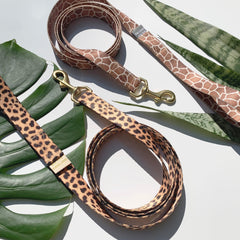 Leopard City Walk Collar + Leash Set