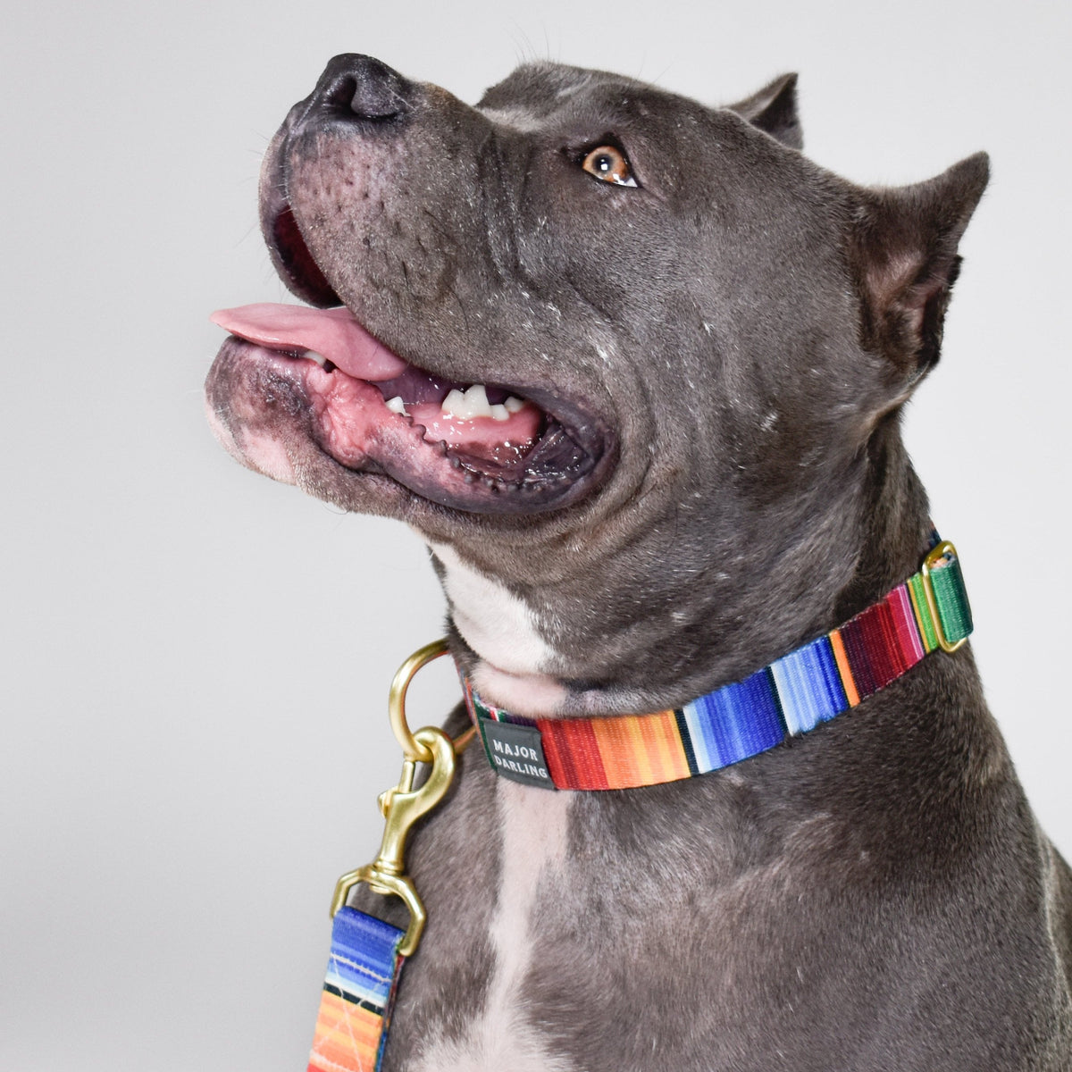 Not-So-Basic Snap Collar
