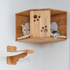 Corner Cat Wall Perch Set
