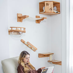 Corner Cat Wall Perch Set