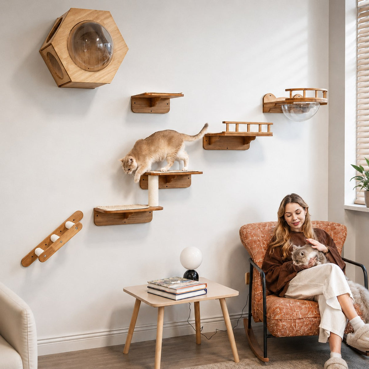 Small Living Room Cat Wall Set