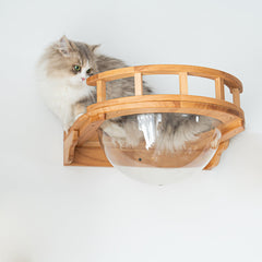 Flagship Living Room Cat Wall Set