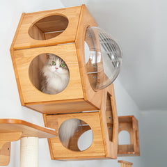 Flagship Living Room Cat Wall Set
