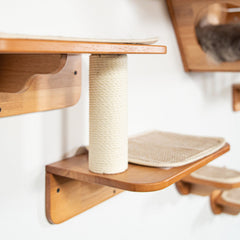 Flagship Living Room Cat Wall Set