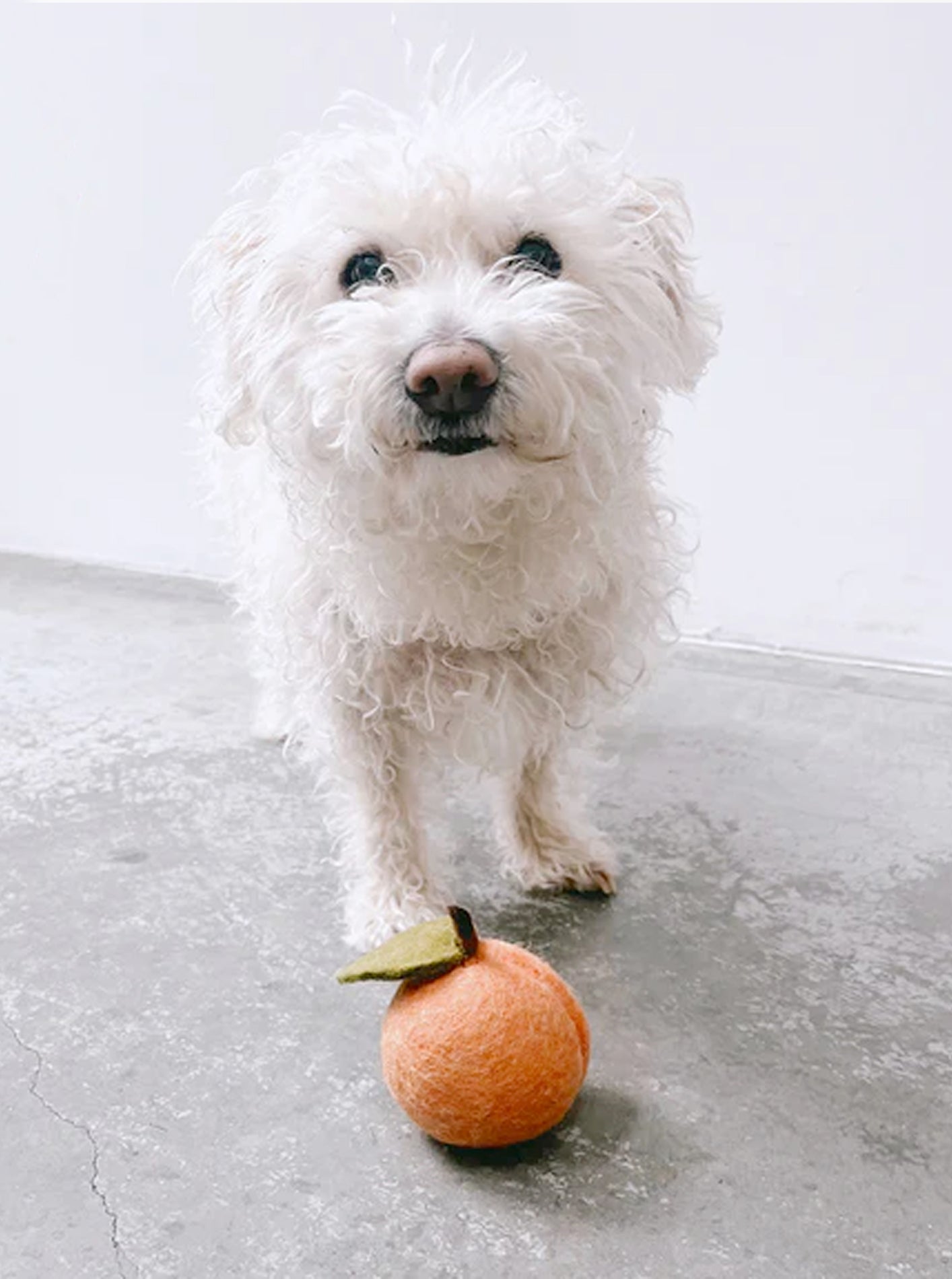 PEACH WOOL DOG & CAT TOY - Biscuit & Bell