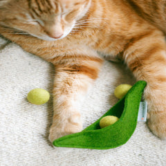 Orange cat playing with a green cat toy on a white carpet