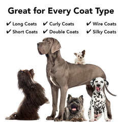 Flea+Tick Defense Duo