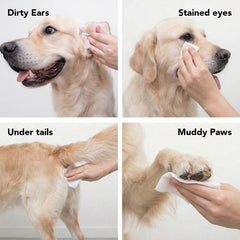 The Swipe Pet Wipes