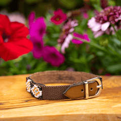 Sambboho Phoenix Beaded Cat Collar