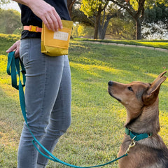Structured Treat Pouch