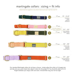 martingale collar / rose + grape / limited edition - Biscuit & Bell