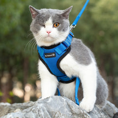 Mr. Peanut’s PurrTrek Cat Harness - Biscuit & Bell