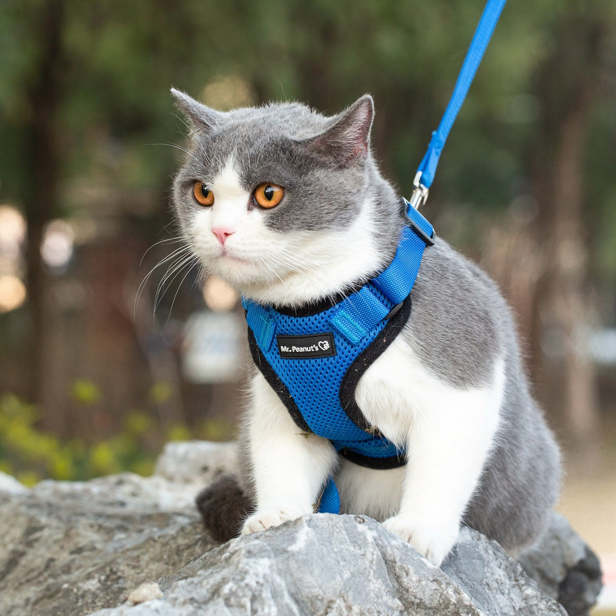 Mr. Peanut’s PurrTrek Cat Harness