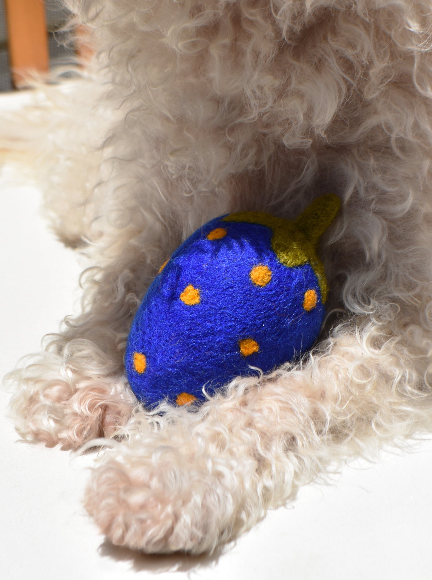 BLUE STRAWBERRY WOOL DOG TOY - Biscuit & Bell