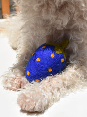 BLUE STRAWBERRY WOOL DOG TOY - Biscuit & Bell