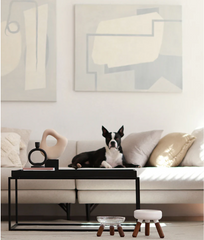 Oreo Glass Elevated Pet Table. Walnut . Short