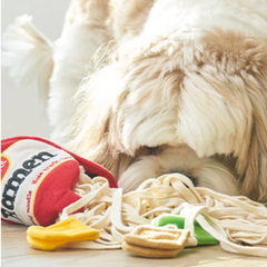 Ramen Cup Snuffle Dog Toy