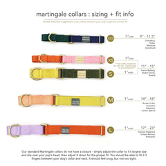 Martingale collar