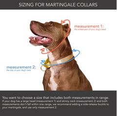 Martingale collar