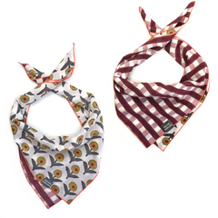 Sunflower Picnic Dog Bandana