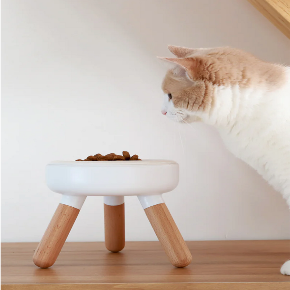 A fluffy cream and white cat leans in to look at a small elevated white pet food bowl with wooden legs on a wooden floor against a white wall.