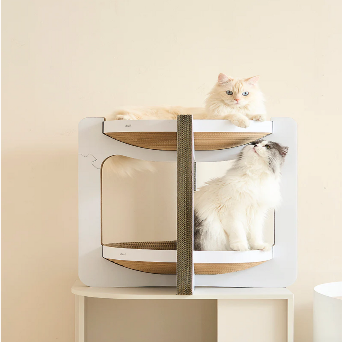 A two-tier cat tree with a white frame and natural wood platforms, featuring a vertical sisal-wrapped scratching post. Two long-haired cats are present: one resting on the top platform and one looking up from the bottom platform.
