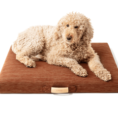 Terra Modern Dog Bed or Bed Cover