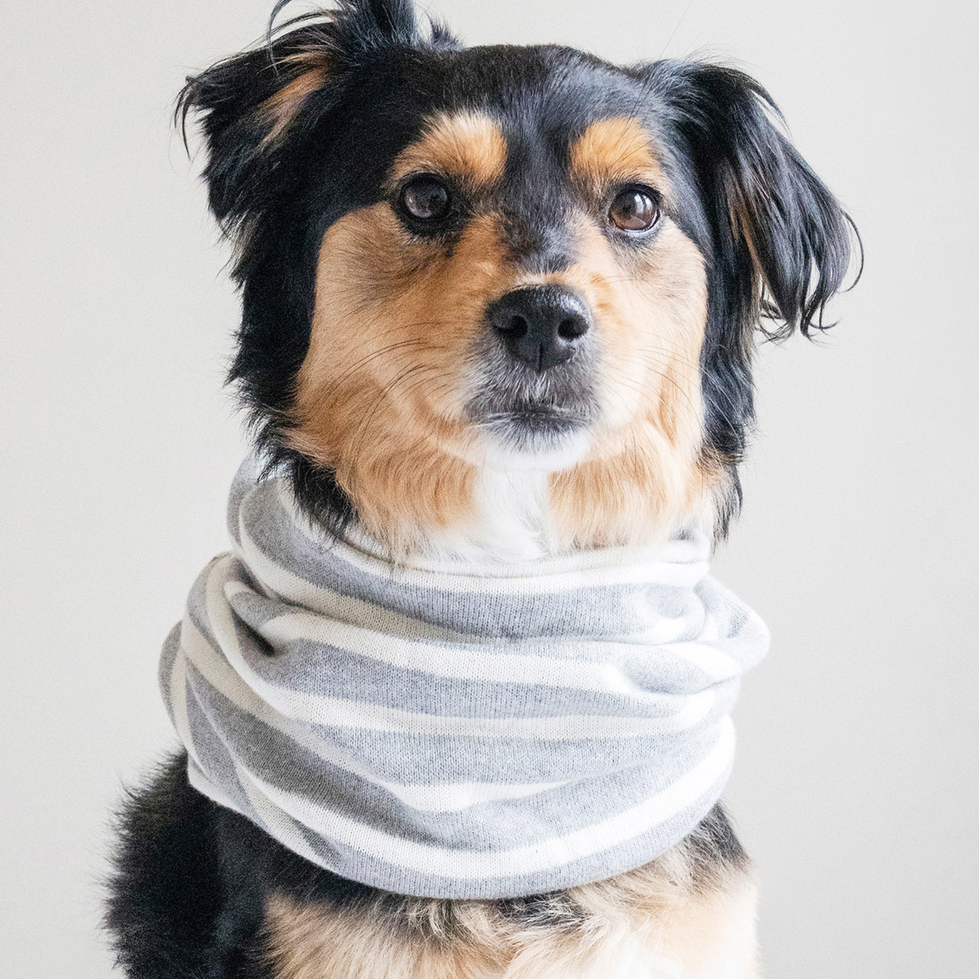 MB Snood - Biscuit & Bell