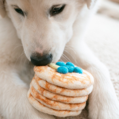Stack of Pancakes Wool Dog & Cat Toy