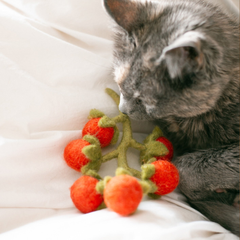 Cherry Tomato Vine Wool Dog & Cat Toy
