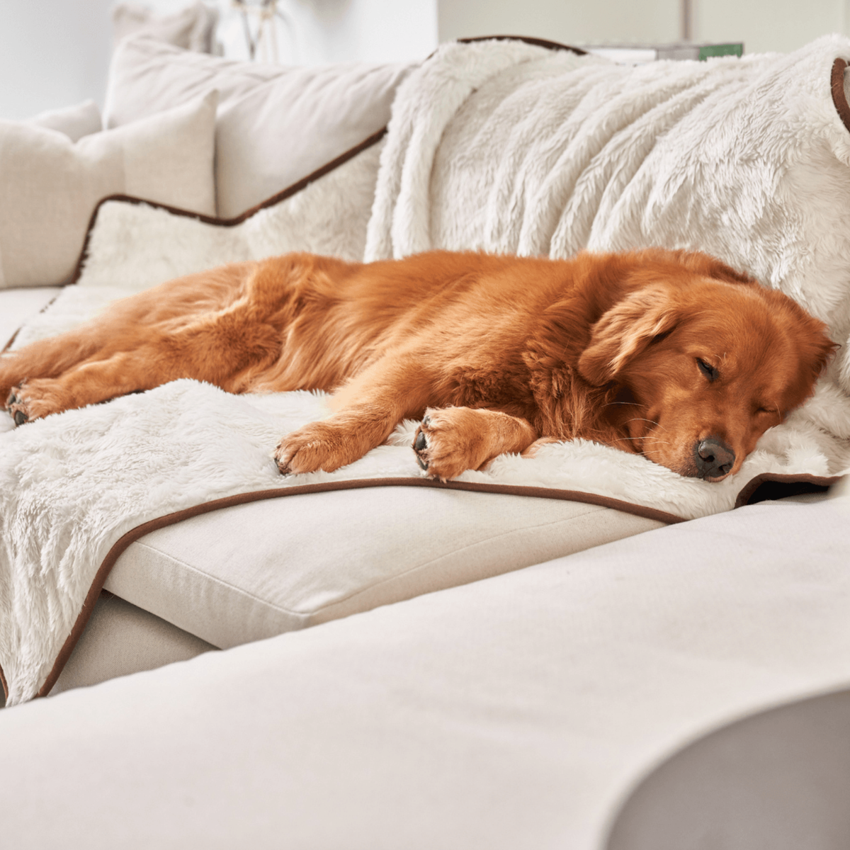 PupProtector™ Summer Short Fur Waterproof Throw Blanket - Polar White