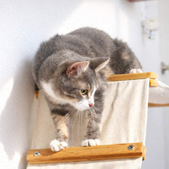Catastrophic Creations The Lift Cat Hammock Bed