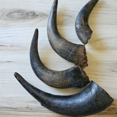 Bison Horn Dog Chew