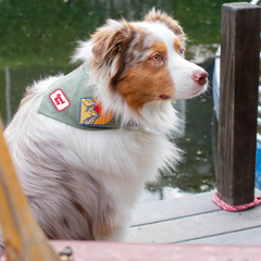 Adventure Bandana
