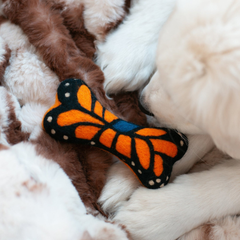 Monarch Butterfly Woolbone Dog Toy - Biscuit & Bell