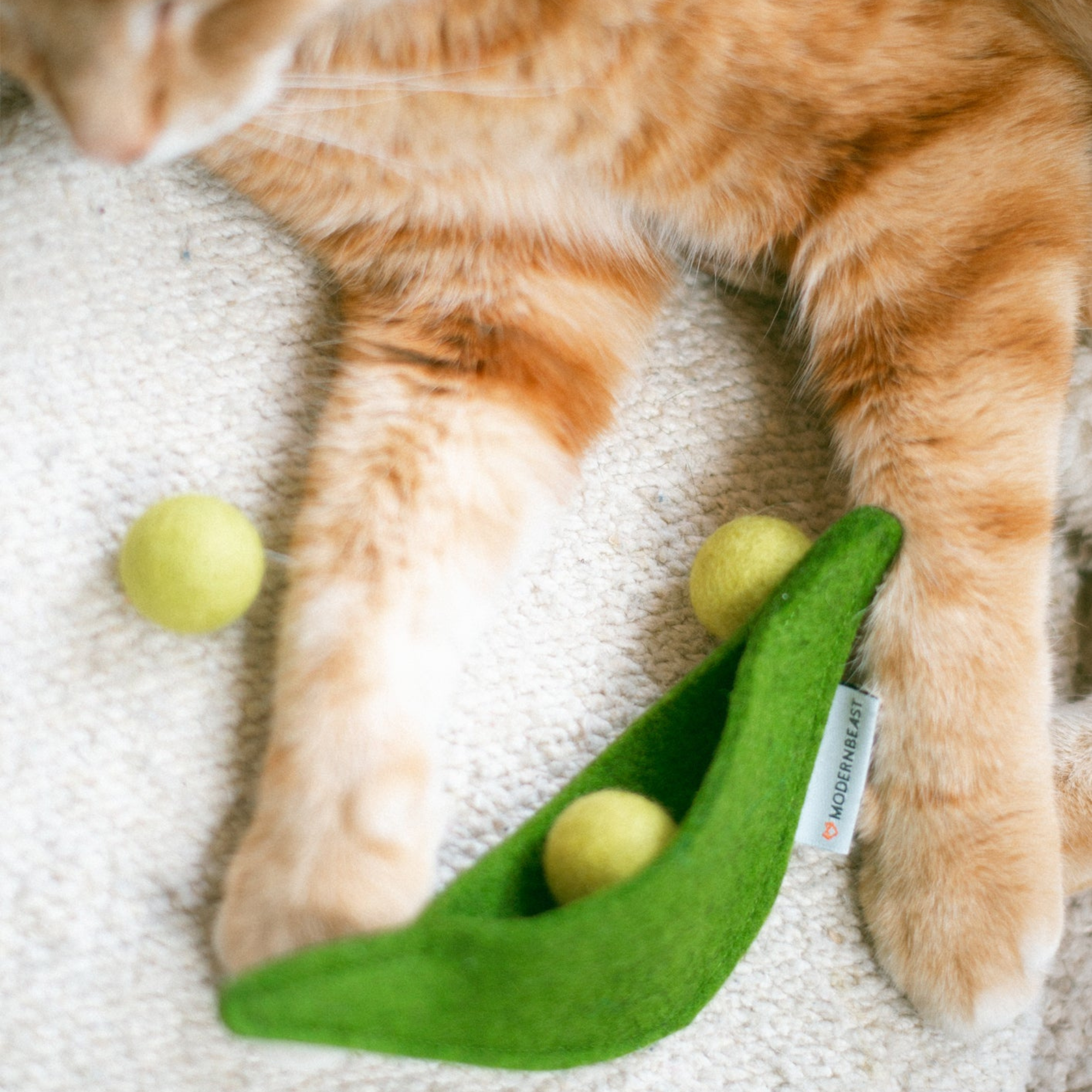 Pea Pod Wool Cat Enrichment Toy - Biscuit & Bell