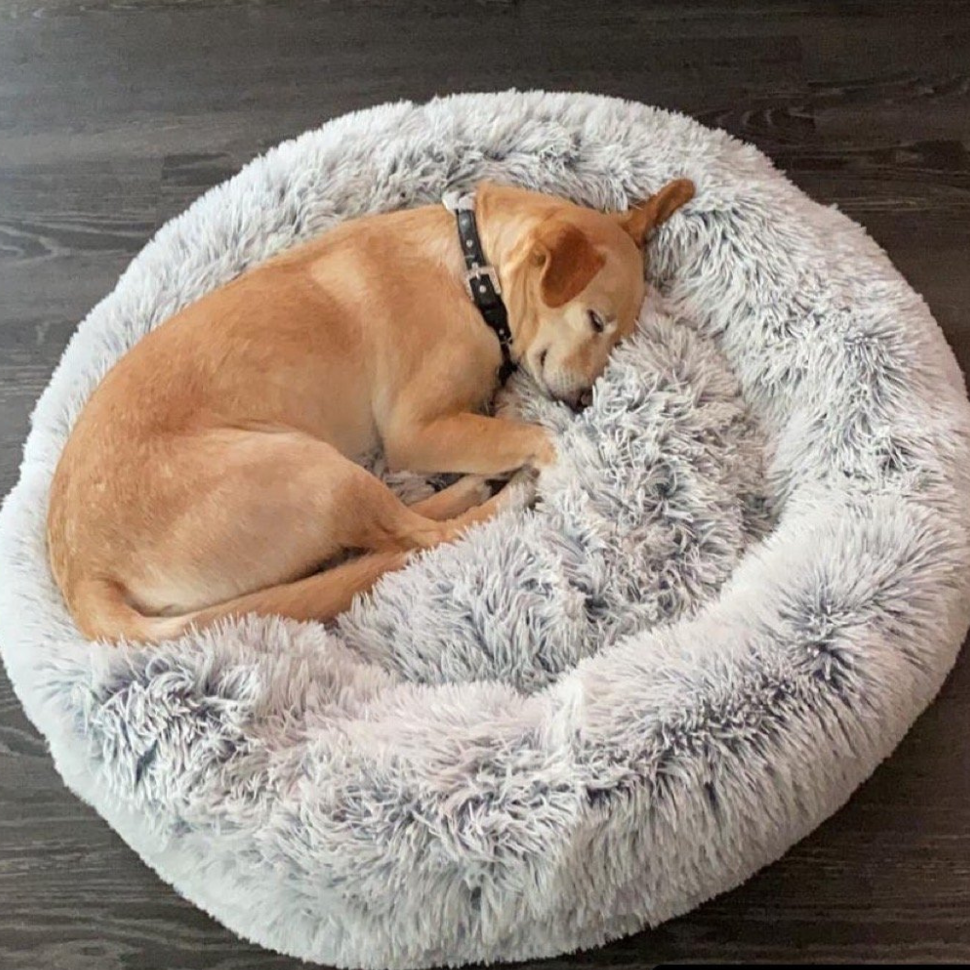 Mr. Peanut’s OrthoPlush Pet Bed - Biscuit & Bell