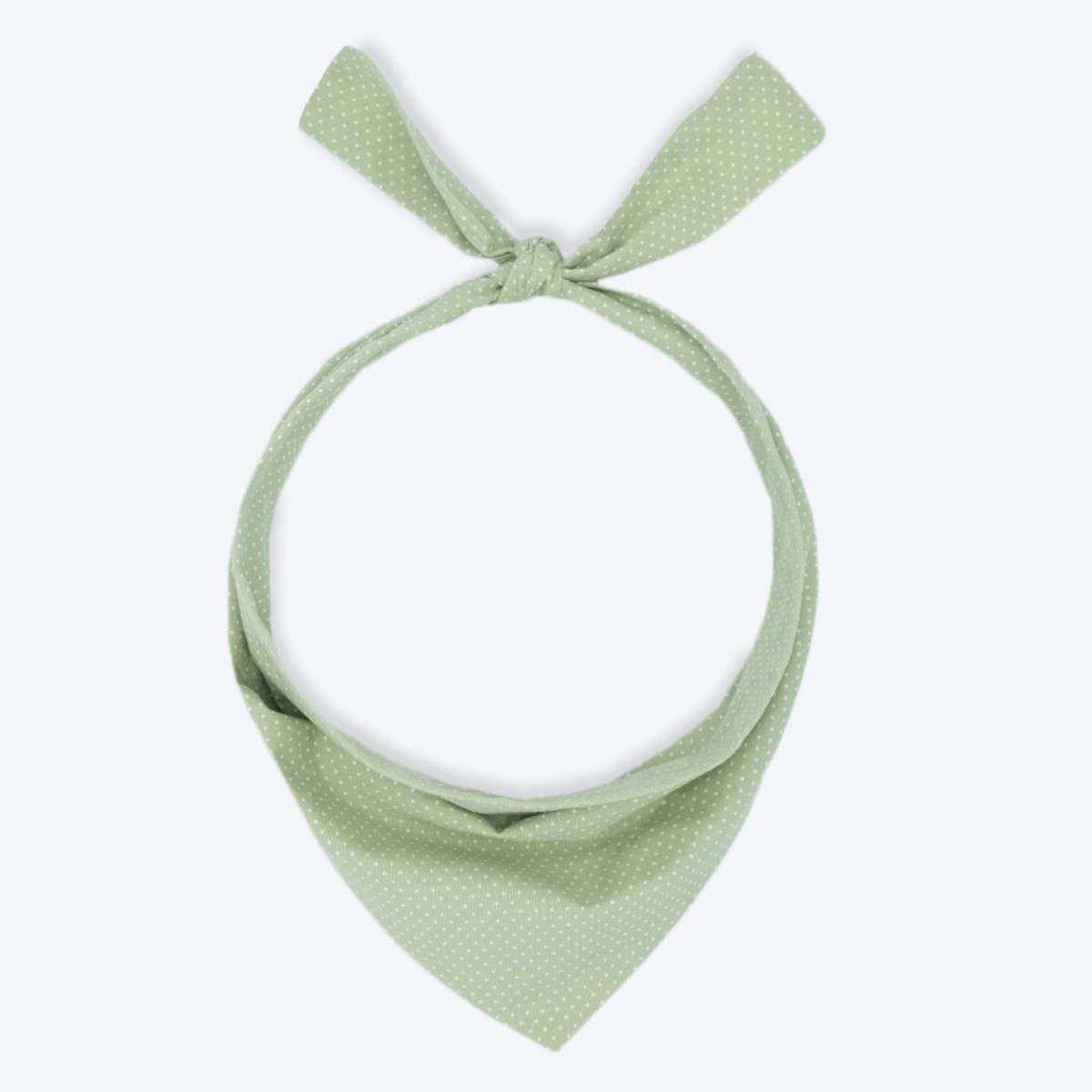 Party Bandana - Biscuit & Bell
