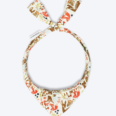 Adventure Bandana - Biscuit & Bell