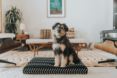 Black Chevron Boho Dog Bed or Bed Cover