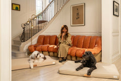 Brigette Romanek Luxury Pet Throw Blanket - Taupe