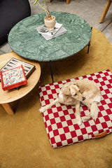 Red Checker Dog Bed with Cover