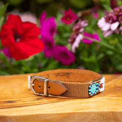 Aztec Sambboho cat collar