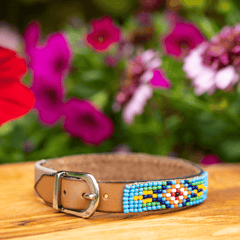 Sambboho Blue Vogue Beaded Cat Collar