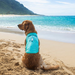 Body Glove Pet Sun Shirt - Biscuit & Bell