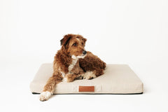 Ecru Modern Dog Bed or Bed Cover
