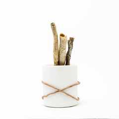 Wild Nosh Carp Skin Roll