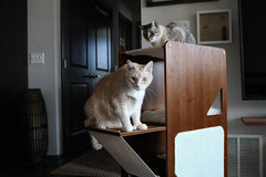 Catastrophic Creations The Overlook Bamboo Cat Tree