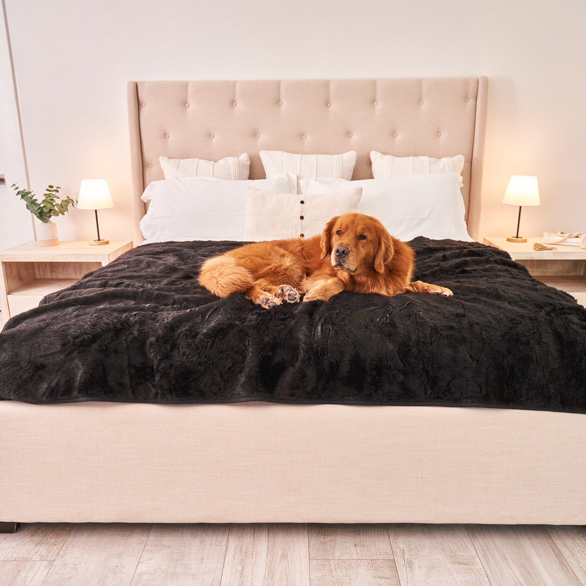 PupProtector Summer Short Fur Waterproof Throw Blanket - Midnight Black