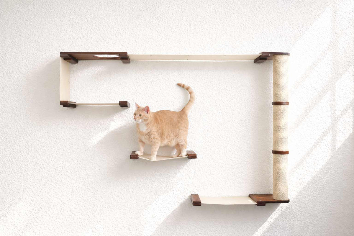 Catastrophic Creations The Climb Condo Cat Wall System